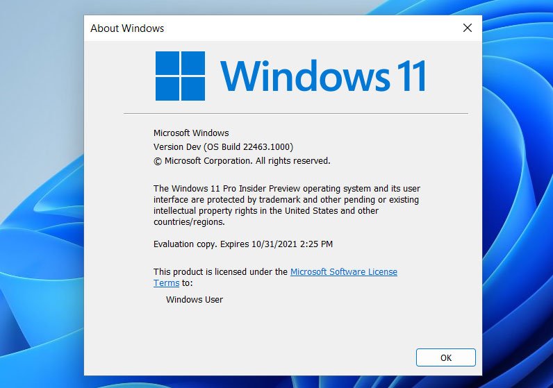 windows-11-setup-requirements-bypassed