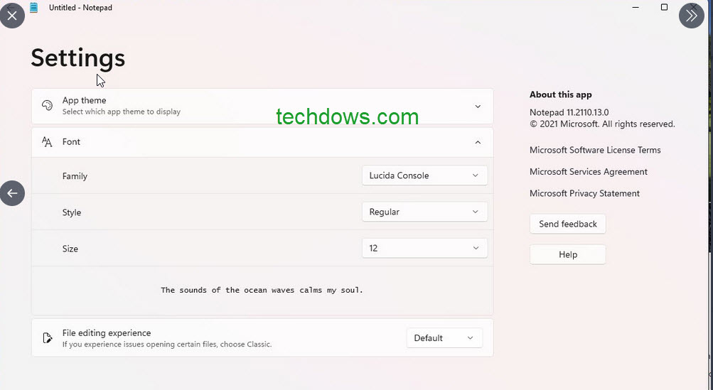 Windows-11-redesigned-Notepad-Settings