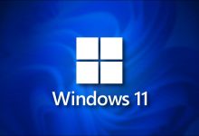 更多的 PC 正在安装 Windows 11，下一个是你的吗？-Win 11系统之家