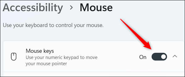 Turn-on-Mouse-Keys.