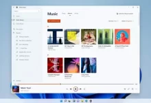 微软推出新的 Windows 11 媒体播放器应用程序-Win 11系统之家