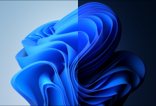 Windows 11 更新修复了截图工具和其他应用程序中的错误-Win 11系统之家