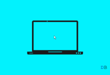 光标或鼠标指针未出现在 Windows 11 中 [已修复]-Win 11系统之家