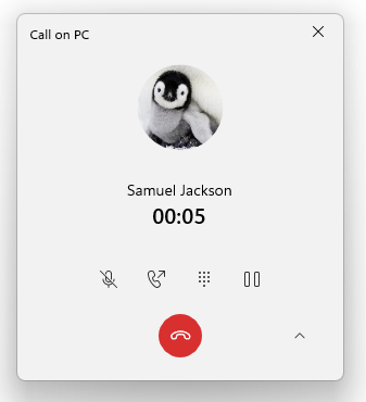 YP-new-calls-1