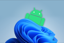 您的 Windows 11 PC 可以运行 Android 应用程序吗？-Win 11系统之家