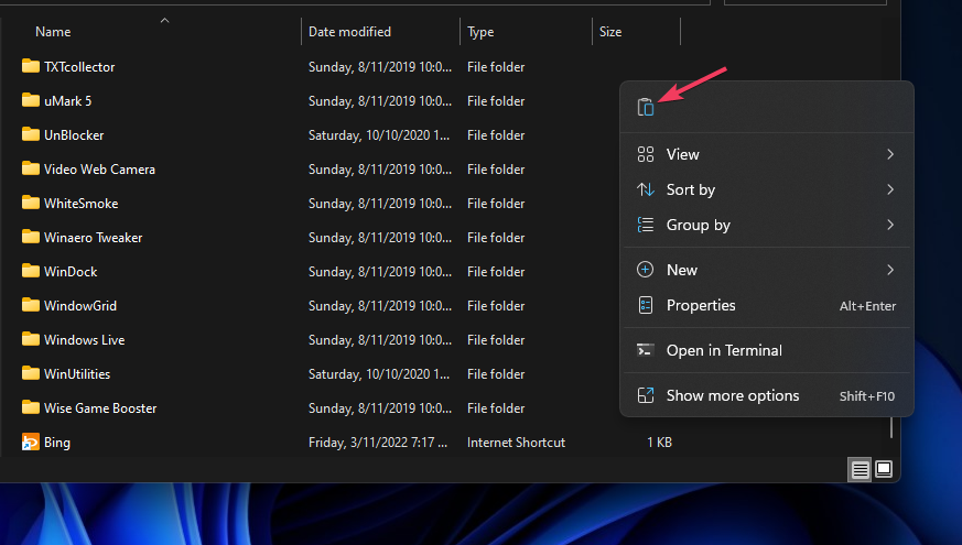 paste-option paste-option