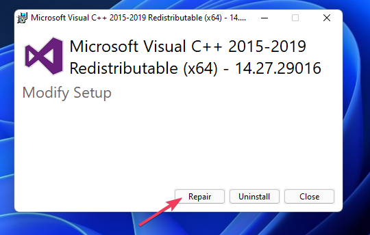 repair-option repair-option