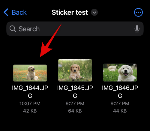 how-to-make-stickers-on-ios-16-14