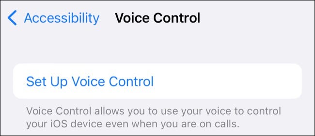 set_up_voice_control