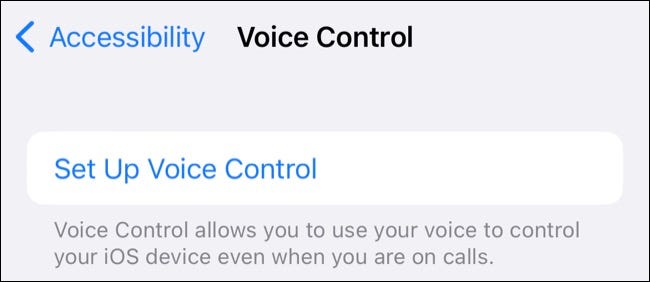 set_up_voice_control set_up_voice_control