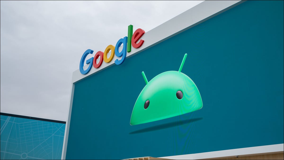 52609050631_41065a1820_o