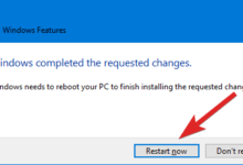 平替的 Infuse？安装私人影视库 VidHub-Win 11系统之家
