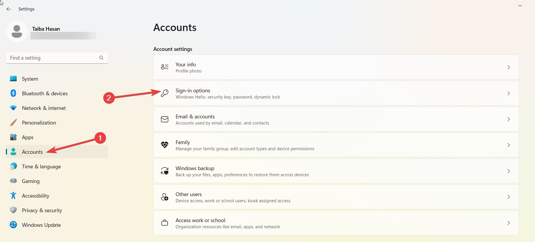 Sign-in-options-1 Sign-in-options-1