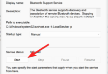 学生如何使用 ChatGPT 写书以创建价值 1 万美元的业务-Win 11系统之家