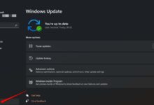 什么是 Microsoft Edge 中的 Web 预览以及如何使用它来吸引用户访问您的网站-Win 11系统之家