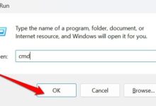 WPS AI 正式面向社会开放 在线体验及申请-Win 11系统之家