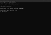 聊天GPT 4与Code Llama编码结果比较-Win 11系统之家