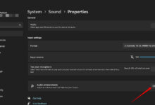 DreamStudio vs StableStudio by Stability AI 有什么区别？-Win 11系统之家