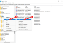 如何重置加密密码 WhatsApp 2023-Win 11系统之家