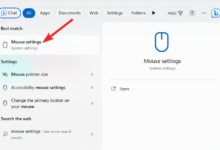 如何查看 Mac 的保修和 AppleCare+ 服务计划状态-Win 11系统之家
