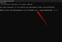 Writers brew：AI 写作工具-Win 11系统之家