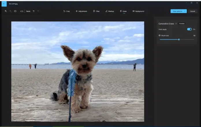 Windows照片应用程序更新引入了Microsoft Copilot插件-Win 11系统之家