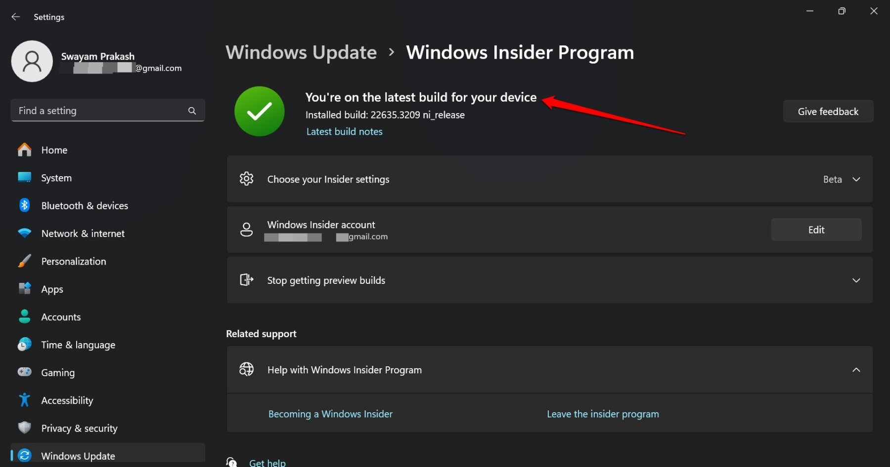 Install-Windows-insider-build-