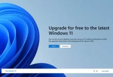 什么是阿里巴巴 Qwen 及其 6 个 LLM AI 模型?-Win 11系统之家