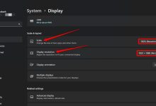 Stability AI 推出 TripoSR AI 图像到 3D 模型生成器-Win 11系统之家