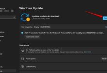 如何用 Google Gemini 释放你的写作潜力-Win 11系统之家