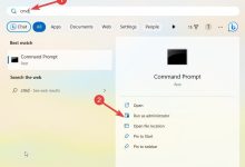 您需要知道的 10 个新的 iOS 17.4 提示和技巧-Win 11系统之家